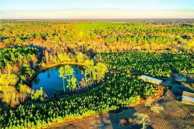 8802 Good Carter Rd, Nicholls, GA 31554 - photo 5