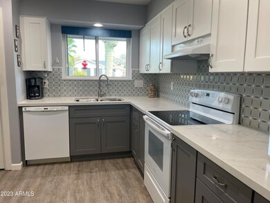 10218 W Mission Ln, Sun City, AZ 85351 - photo 4