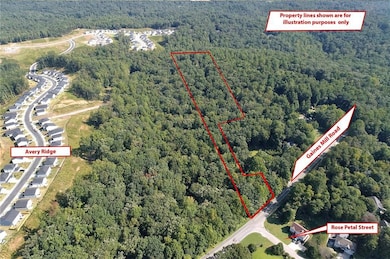 3005 Gaines Mill Rd, Gainesville, GA 30507 - photo 3