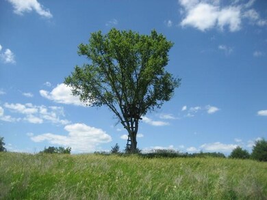 IMG_0430 (Small)
