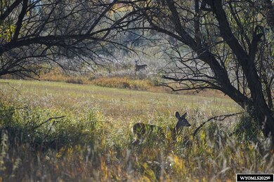 Lot 32 Teal Spring Dr Ct, Sheridan, WY 82801 - photo 4