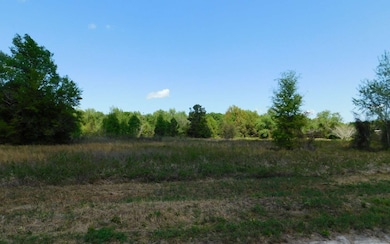 0 SW, Lake City, FL 32024 - photo 2
