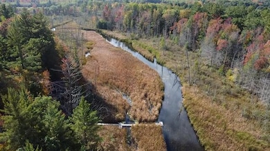 5683 Tyndal Rd, Branch Township, MI 49402 - photo 5