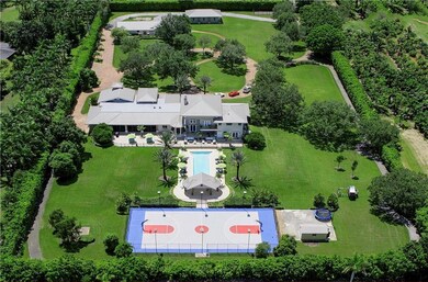 Estate Property - Rear Aerial View