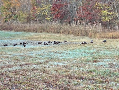 656 N Highway 810, Kuttawa, KY 42055 - photo 2