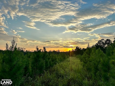 0 Neely Avera, Neely, MS 39461 - photo 5