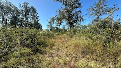 0 Waynesboro Hwy unit 25177409, Sylvania, GA 30467 - photo 3