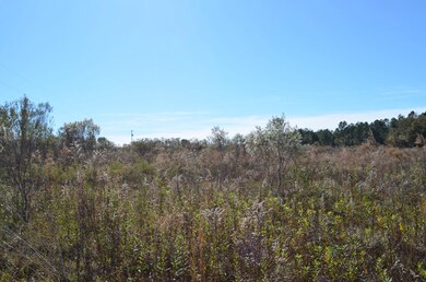 143 Causey Rd, Doerun, GA 31744 - photo 2