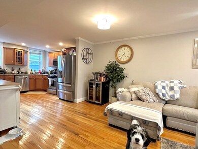 494 E 3rd St unit 1, Boston, MA 02127 - photo 5