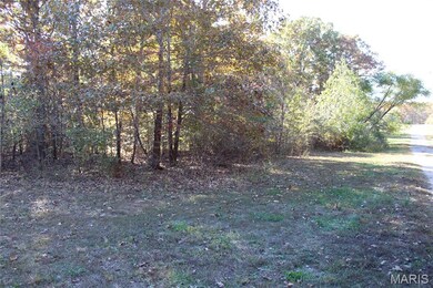 TBD Sandpiper Ln, Fairdealing, MO 63939 - photo 3