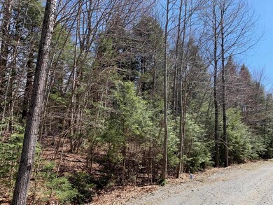 2 Brook Ln unit 37, Wilmington, VT 05363 - photo 2