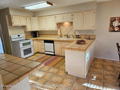 Kitchen view 2
