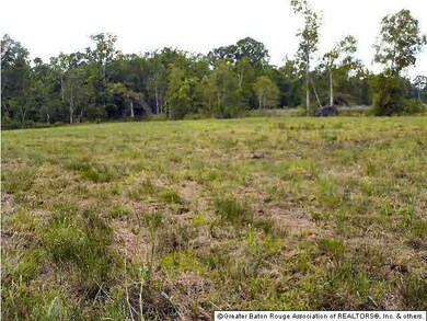 Opens in back to beautiful homesite area.
