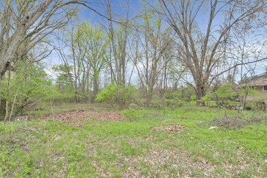 2-web-or-mls-DJI_0591