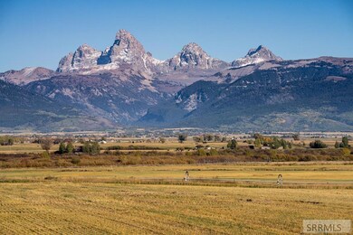 Teton View