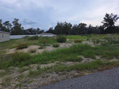 Lot 32 Spruce Pass, Silver Springs Shores, FL 34472 - photo 3