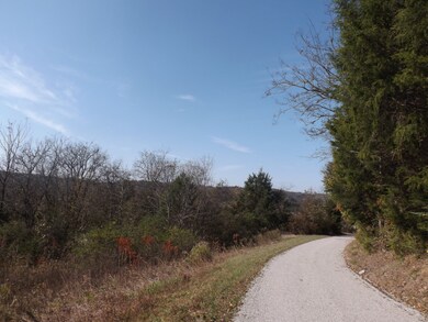 1 Stella Church Rd, Prospect, TN 38477 - photo 4