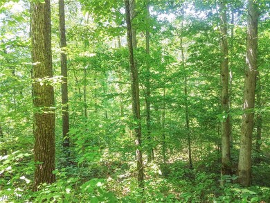 11 Moss Run Rd, Marietta, OH 45750 - photo 4