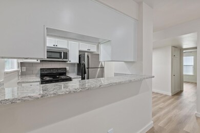 3819 Southway Dr unit 105, Austin, TX 78704 - photo 5