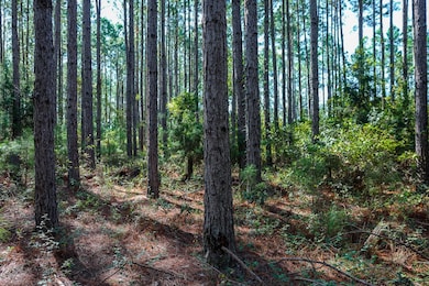 Pullen Rd, Damascus, GA 39841 - photo 4