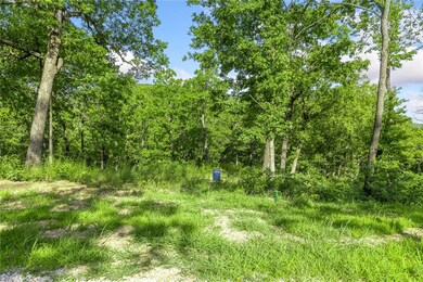 Lot 76 Restore Ridge, Harrison, AR 72601 - photo 2