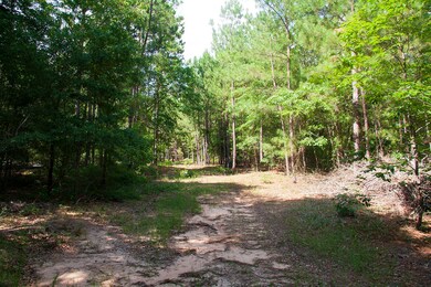 Springhill C_02