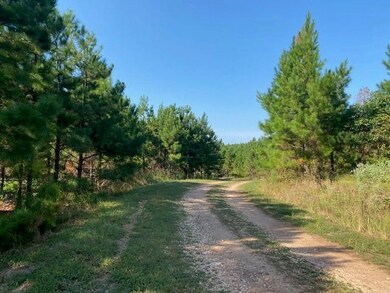 0 Lot 76 Ruts Pine Loop, Broken Bow, OK 74728 - photo 2