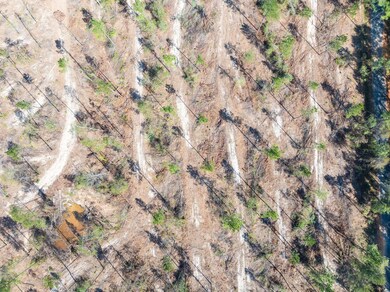 8.24 +/- Acres Noel Townsend Rd, Seminary, MS 39429 - photo 5