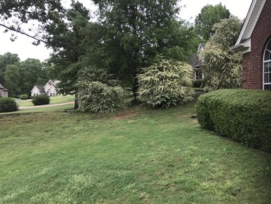 Left view of house