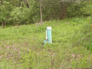 0 Patchin Hwy, Cherry Tree, PA 15724 - photo 6