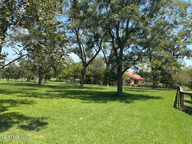 1570 Dupont Harts Chapel Rd, Poplarville, MS 39470 - photo 4