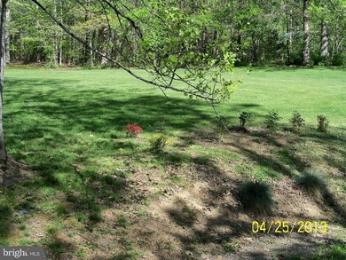 4229 Lindsay Ct, Jeffersonton, VA 22724 - photo 4