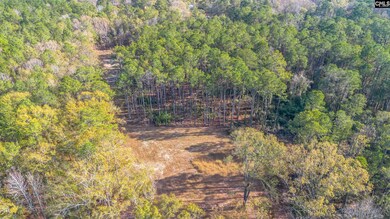 175 Pine Needle Cir, Gaston, SC 29053 - photo 4