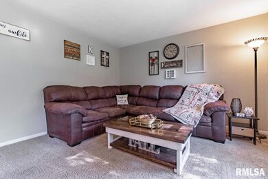 4504 N Carola Ct, Peoria, IL 61615 - photo 6