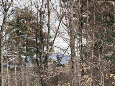 00 Shaw View Dr, Tuftonboro, NH 03816 - photo 5