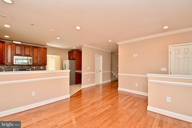 3423 Spring Dr, Alexandria, VA 22306 - photo 7