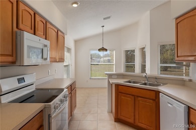 979 Pritchard Island Rd, Inverness, FL 34450 - photo 6