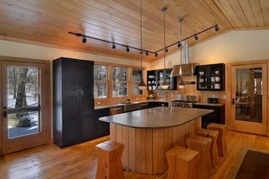 13782 Swans Way, Three Oaks, MI 49128 - photo 4