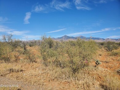 403 Via Pera unit 2, Rio Rico, AZ 85648 - photo 7