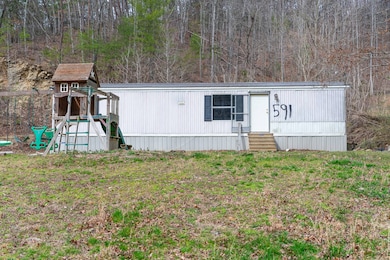 591 Cane Creek Mountain Rd, Tellico Plains, TN 37385 - photo 2
