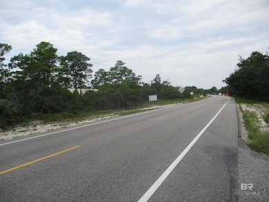 0 State Highway 180 unit 384070, Gulf Shores, AL 36542 - photo 6