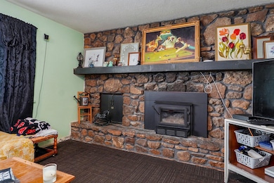 528 N Locust St-6