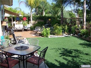 Your Tropical Backyard