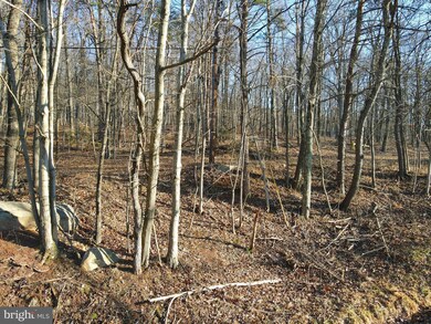 0 Spring Gap Rd unit WVHS2002540, Slanesville, WV 25444 - photo 3