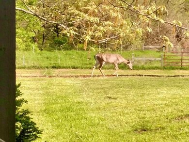 15305 T Rd, Mayetta, KS 66509 - photo 2