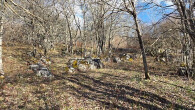 0 27 Acres Big Spring Elk unit 25-1445, Slatyfork, WV 26291 - photo 6