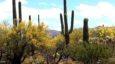 36334 E Pipeline Rd, Marana, AZ 85658 - photo 3