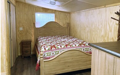 765 SW Santa fe Dr, Fort White, FL 32038 - photo 5