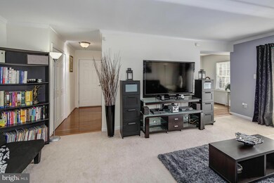 3330 Spring Ln unit D20, Baileys Crossroads, VA 22041 - photo 6