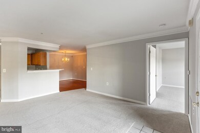 9050 Gracious End Ct unit 101, Columbia, MD 21046 - photo 6